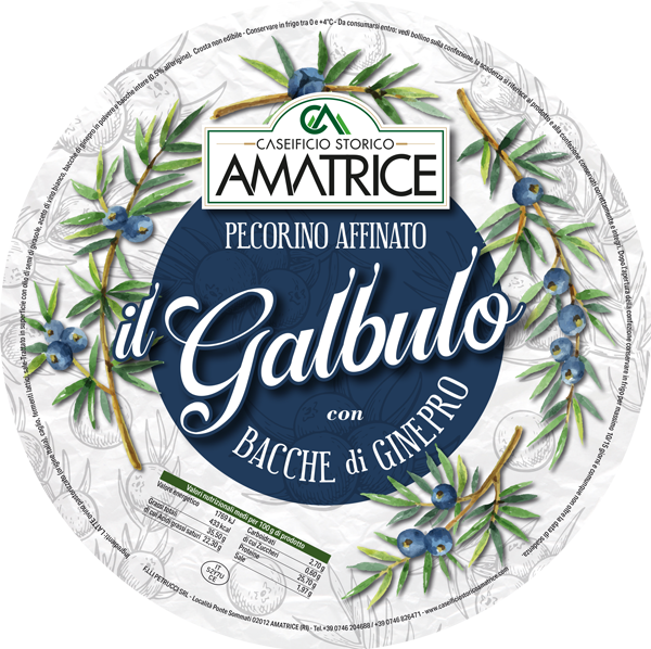 PECORINO STAGIONATO “IL GALBULO”